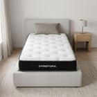 LivingTopia FirmNest Classic Single Mattress