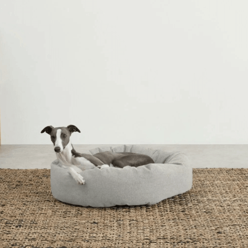 Pets Furniture