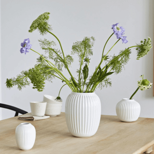Vase & Plants