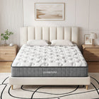 LivingTopia Hybrid Classic Double Mattress