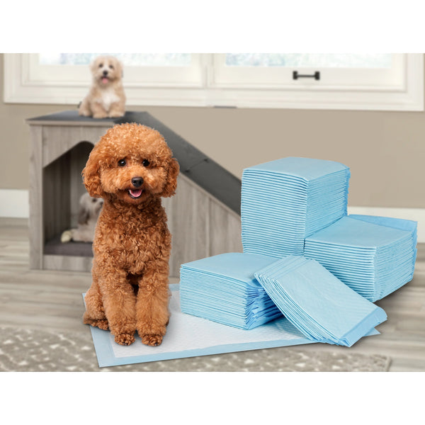 Puppy Training Pad - Set of 100 - S