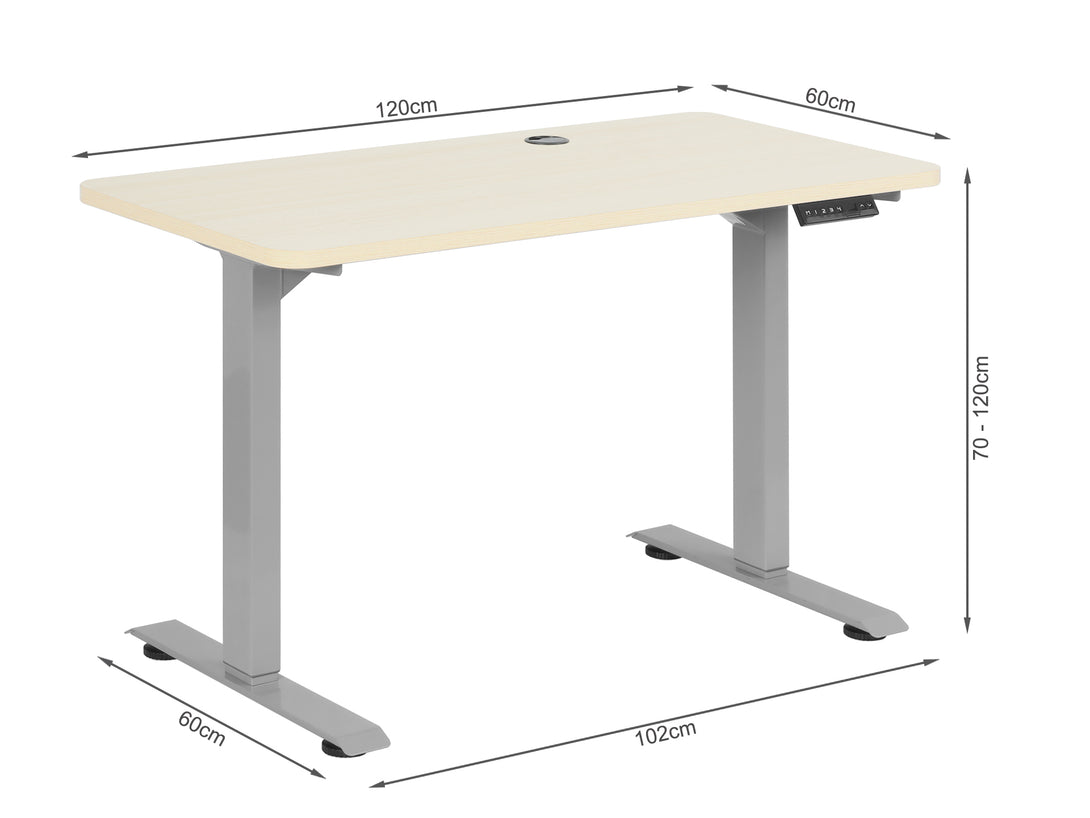 BENNIE 120CM Dual Motor Electric Standing Desk - BEIGE