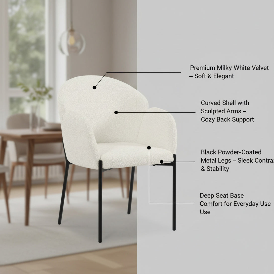 Bellamy Microfiber Velvet Dining ArmChairs - Set of 2 - Milky White