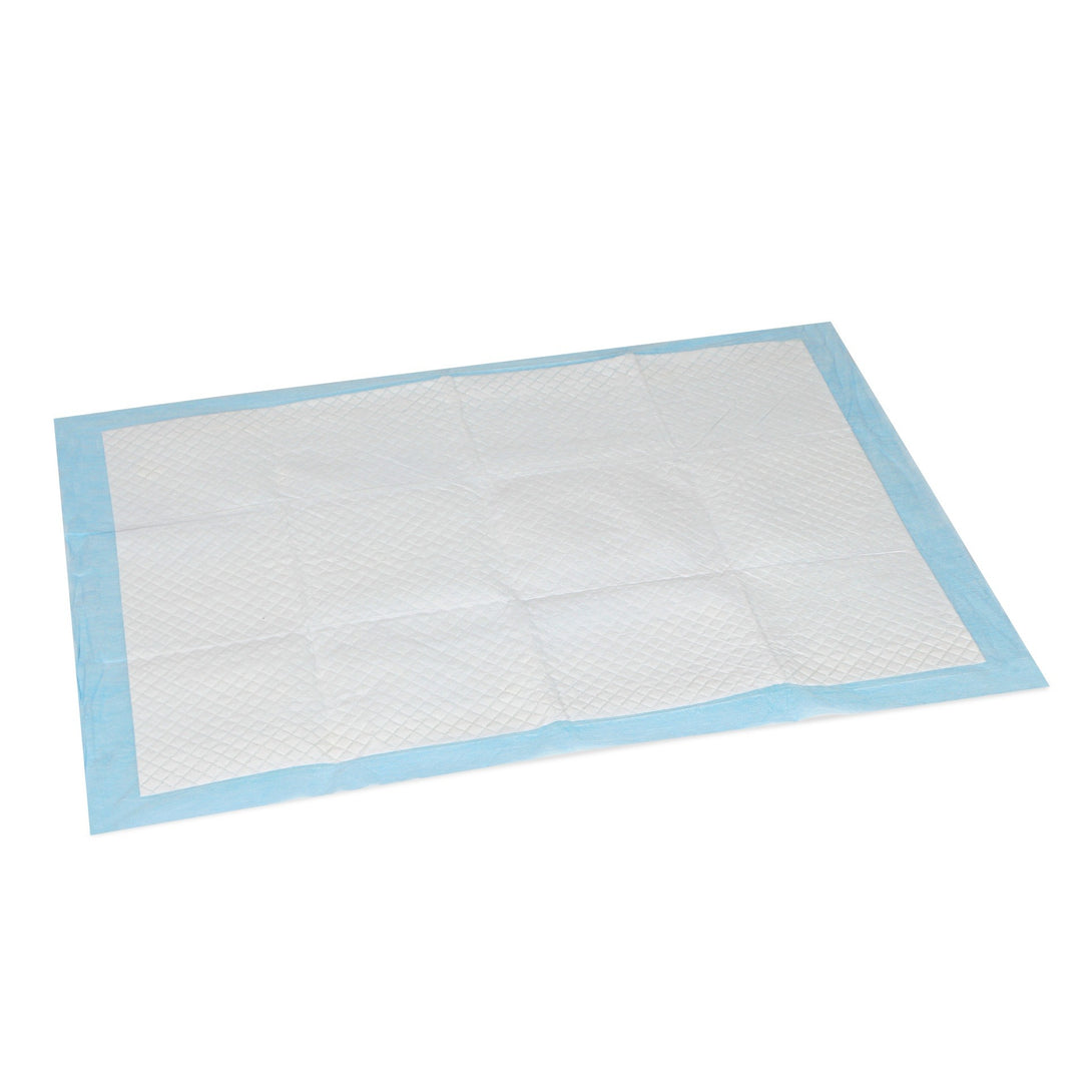 Puppy Training Pad - Set of 50 - M