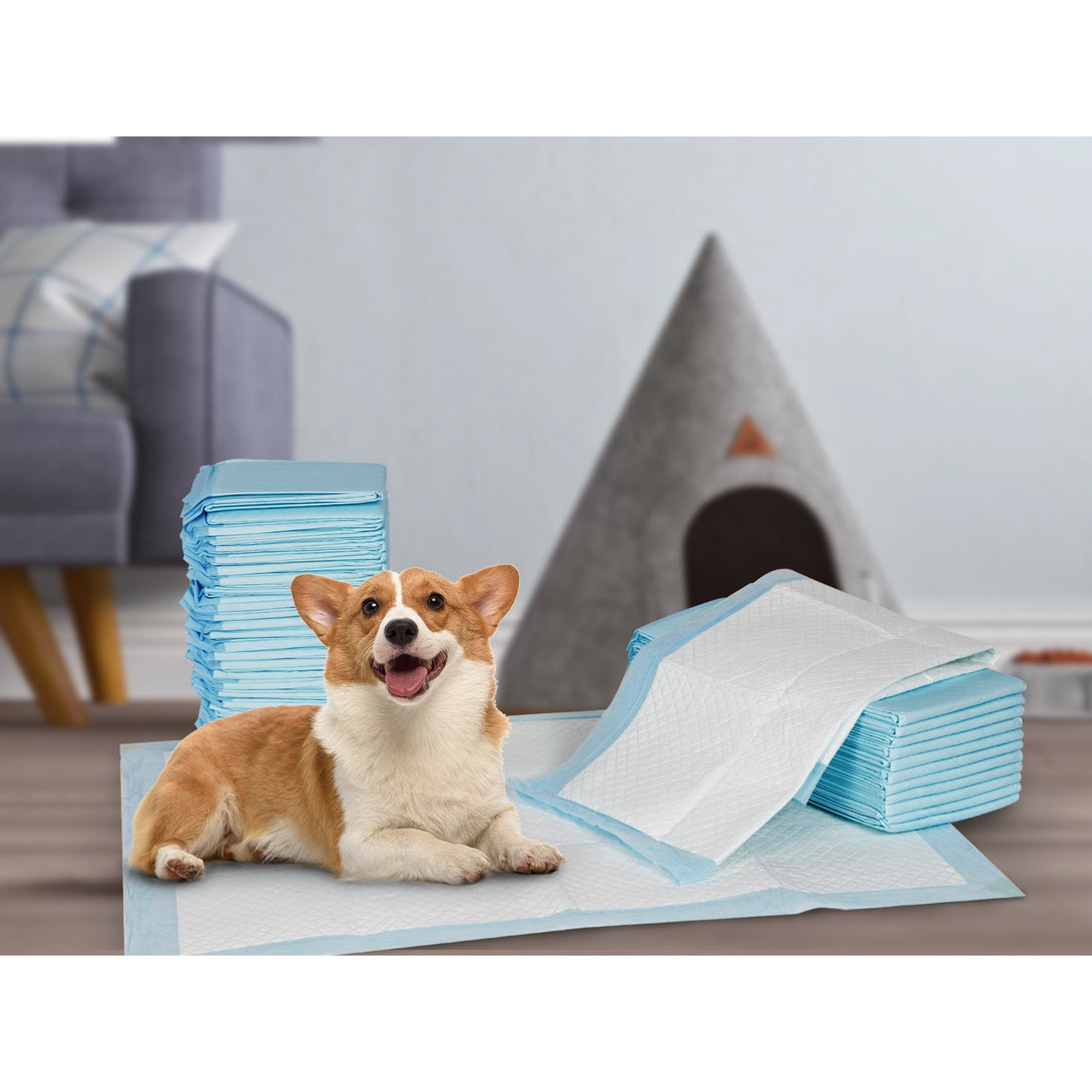 Puppy Training Pad - Set of 50 - M