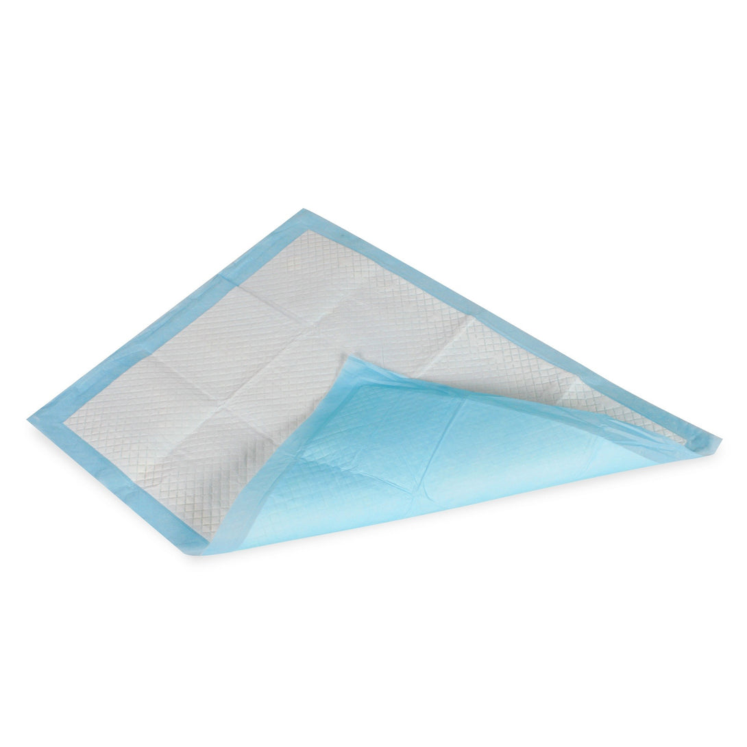Puppy Training Pad - Set of 50 - M