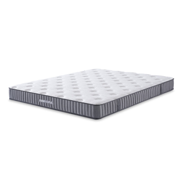 LivingTopia DreamNest Plus King Mattress