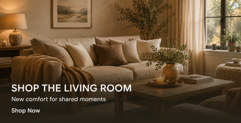 Shop Living Room
