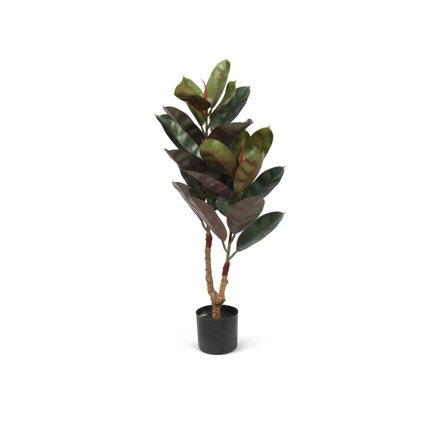 real rubber tree Premium Real Touch Rubber Fig Tree 100cm – Treasurebox