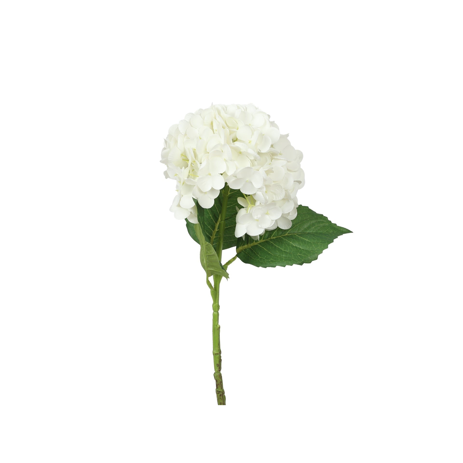 50cm White Hydrangea Spray - Timeless Elegance – Treasurebox