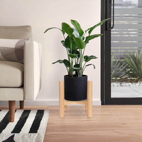 Parrot Wooden Plant Stand - Oak