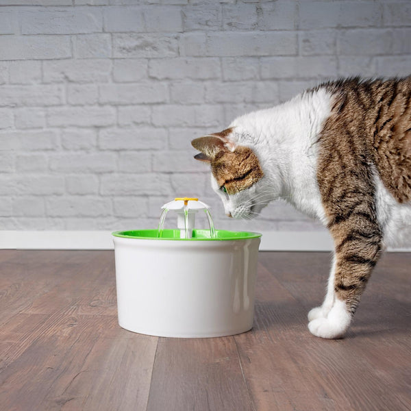 Pet Water Fountain Drinking Fountain Feeder - Green