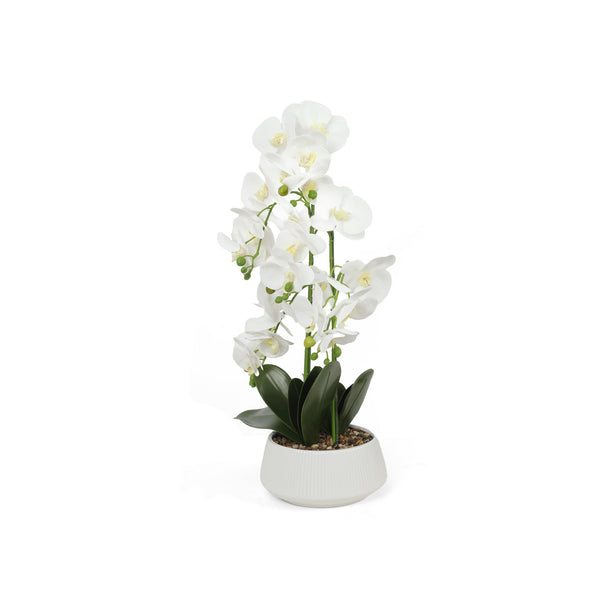 Artificial Orchid with Pot White 65cm