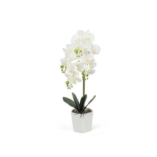 Artificial Orchid with Pot White 70cm