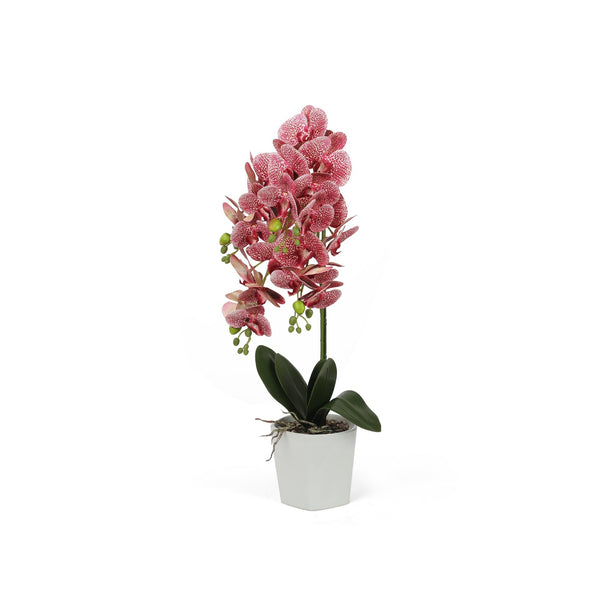 Artificial Orchid with Pot Fuschia 70cm