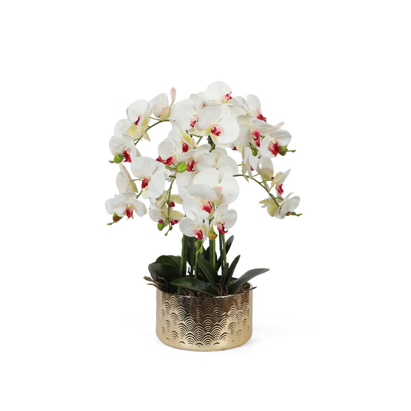 Artificial Orchid with Pot White XL 65cm