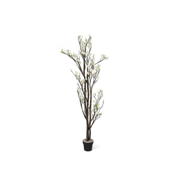 Premium Touch Real Artificial Magnolia Tree White 200cm
