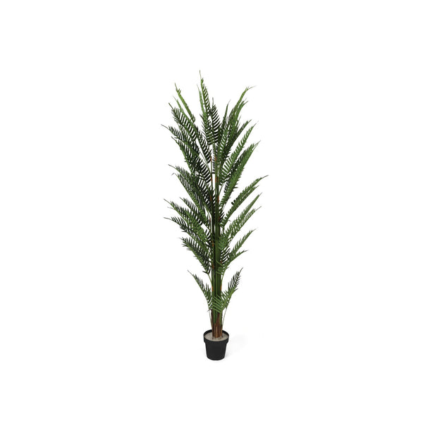 Premium Touch Real Artificial Areca Palm Tree 200cm