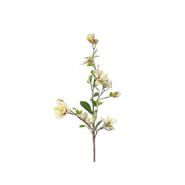 Premium Magnolia Yellow XL 135cm