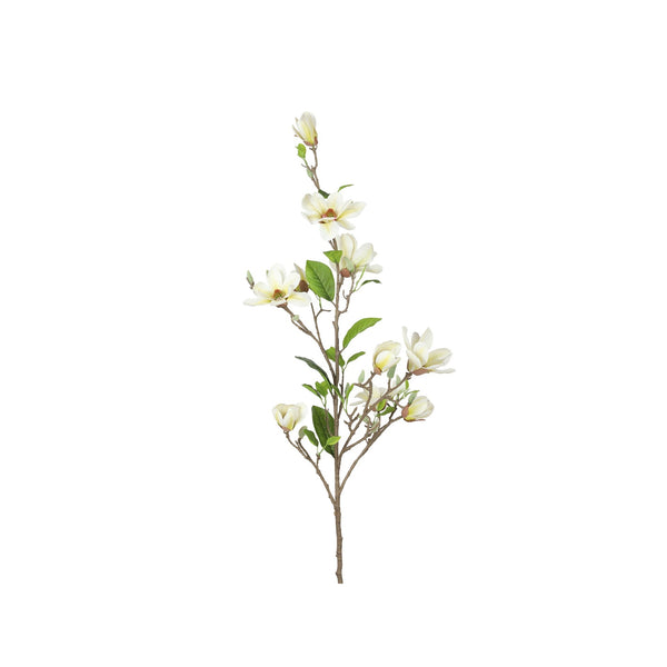 Premium Magnolia White XL 135cm