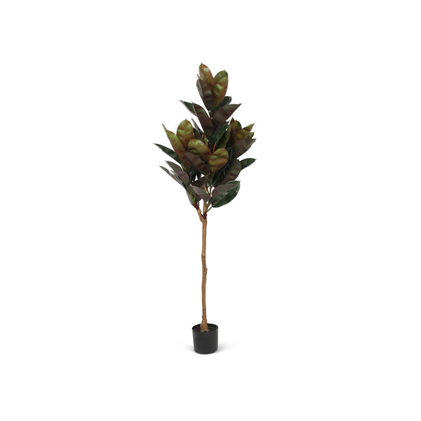 Premium Real Touch Rubber Fig Tree