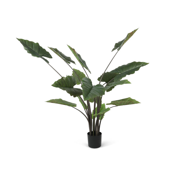 Premium Real Touch Artificial Big Taro Tree with Pot 180cm