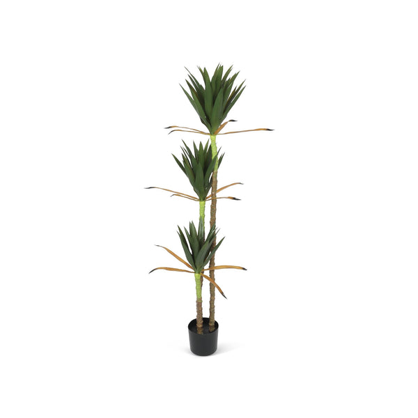 Premium Real Touch Artificial Agave Tree 160cm