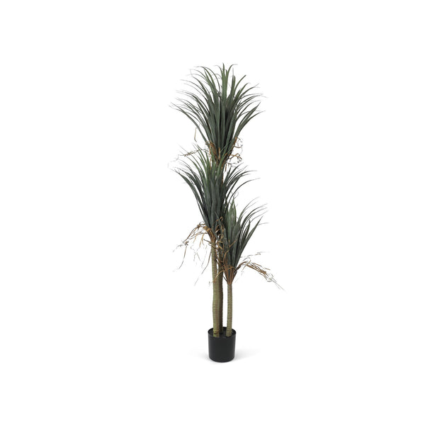 Premium Real Touch Artificial Dracaena Plant with Pot 200cm