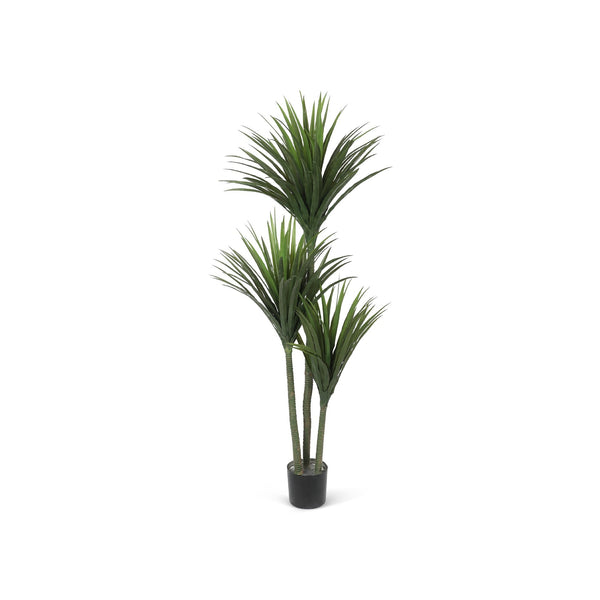 Premium Real Touch  Artificial Dracaena Plant with Pot 190cm