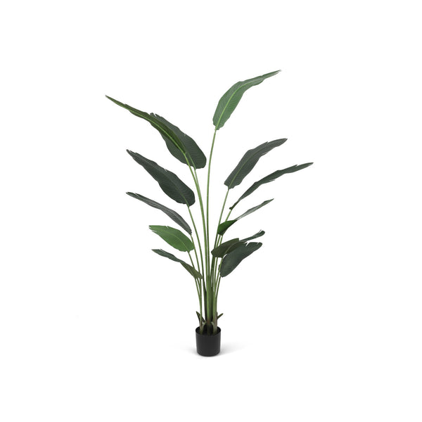 Premium Artificial Real Touch  Traveller's Palm Tree with Pot 180cm