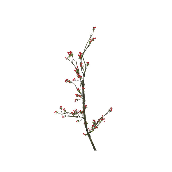 Berry Spray