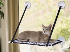 Window Cat Bed Window Hammock