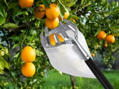 Fruit Picker Orchard Picking Tool with Basket