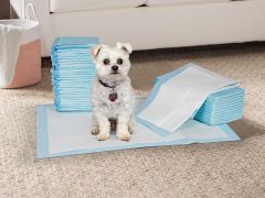 Pet Dog Puppy Training Pad - Set of 20 - XL