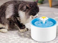 Pet Water Fountain Drinking Fountain Feeder - Blue