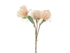 Pincushions Spray Pink 60cm