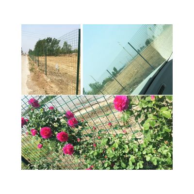 1x20m PVC Coated Wire Netting Fence