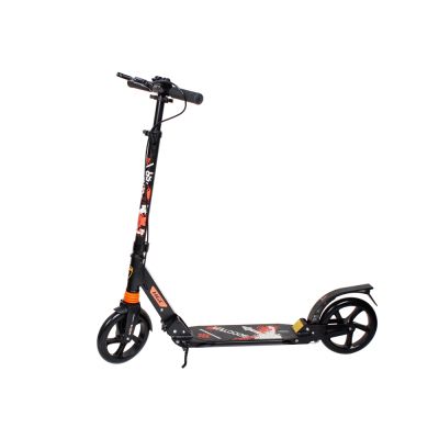 Folding Adult Scooter