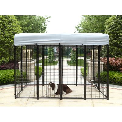 Bingo Pet Dog Kennel Metal Enclosure 2.4m x 1.2m