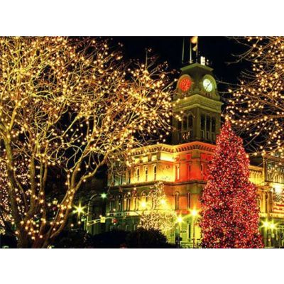 100 LED Lights Solar Outdoor String Lights 13M - WHITE