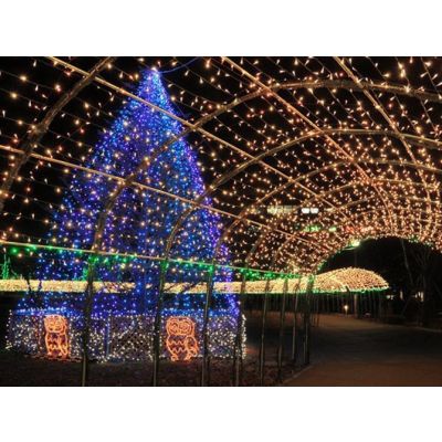 100 LED Lights Solar Outdoor String Lights 13M - WHITE