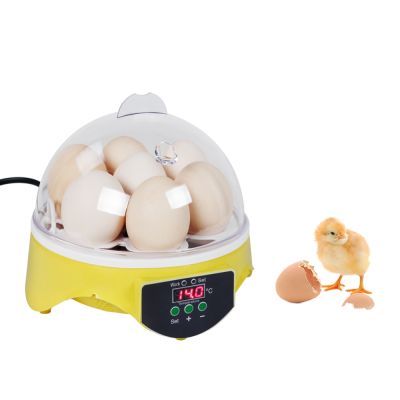 Automatic Egg Incubator 7 Eggs Hatching Machine