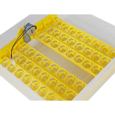Automatic Egg Incubator 48 Eggs Hatching Machine