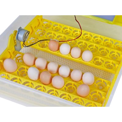 Automatic Egg Incubator 48 Eggs Hatching Machine