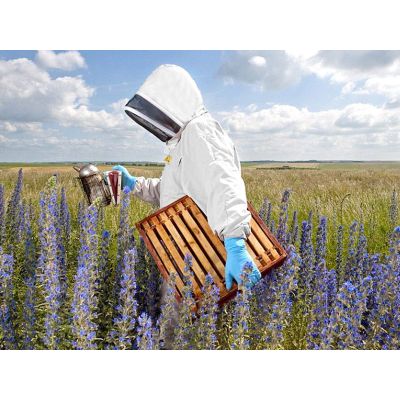 Beekeeping Suit with Fencing Veil - XXLarge