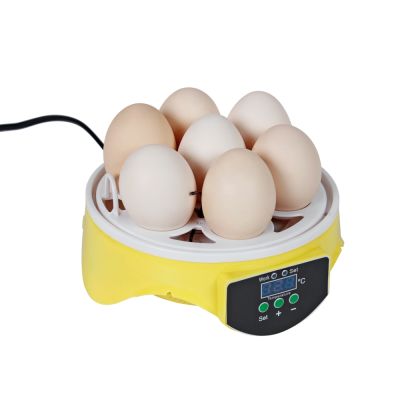 Automatic Egg Incubator 7 Eggs Hatching Machine