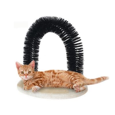 Pet Cat Arch Scratch Massage Toy