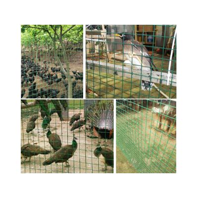 1x20m PVC Coated Wire Netting Fence
