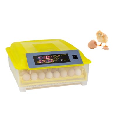 Automatic Egg Incubator 48 Eggs Hatching Machine