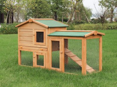 Bingo Chicken Coop Rabbit Hutch